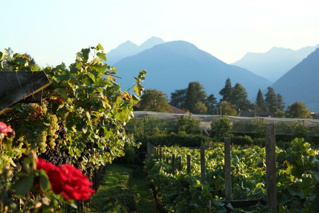 Home Suite Home Bed & Breakfast Merano Exterior photo
